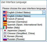 interface language