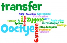 word cloud_transfer